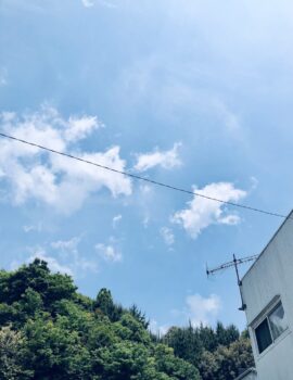 空が真っ青だから。