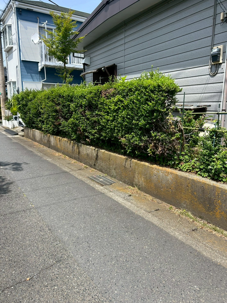 海老名市で行われたリフォーム前の住宅外構。コンクリート擁壁の上に生い茂る生垣が道路側に伸び、お手入れが負担となっていた施工前の様子。 海老名市で行われたリフォーム前の住宅外構。コンクリート擁壁の上に生い茂る生垣が道路側に伸び、お手入れが負担となっていた施工前の様子。