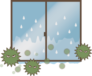 vacuum-glass1_20250930.png