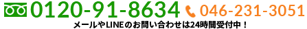046-231-3051